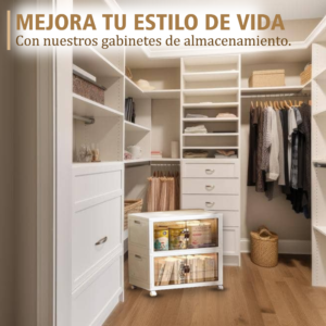 Organizadores, Cajas de almacenamiento Box50-2